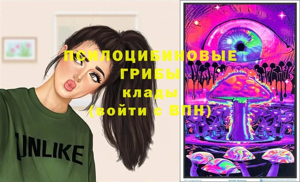 герыч Бородино