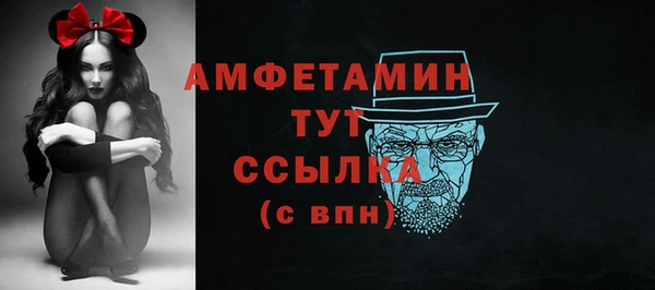 молекула духа Бронницы