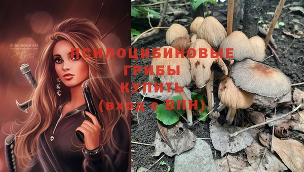 молекула духа Бронницы