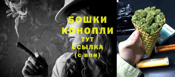 молекула духа Бронницы
