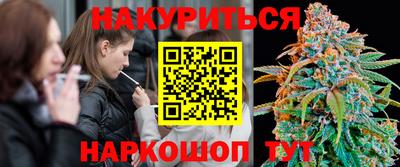 гашик Боровичи