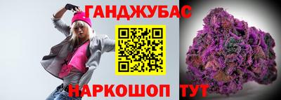 гашик Боровичи