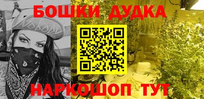 гашик Боровичи