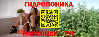 гашик Боровичи