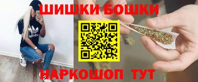 гашик Боровичи