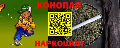 гашик Боровичи