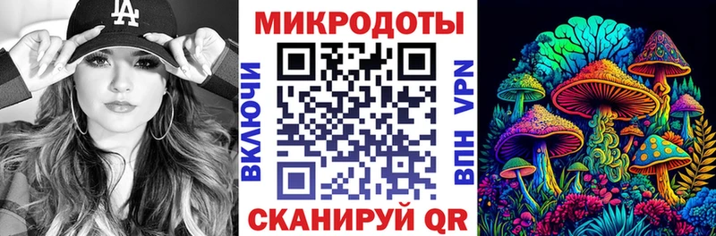 Псилоцибиновые грибы Psilocybine cubensis  Армавир 