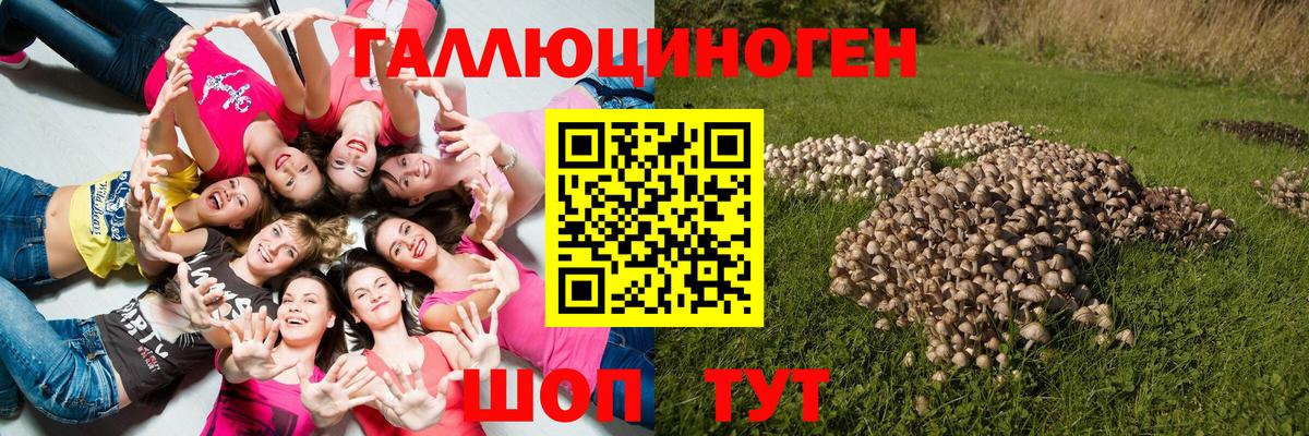 Армавир  цена наркотик  Вход с VPN  Псилоцибиновые грибы MAGIC MUSHROOMS 