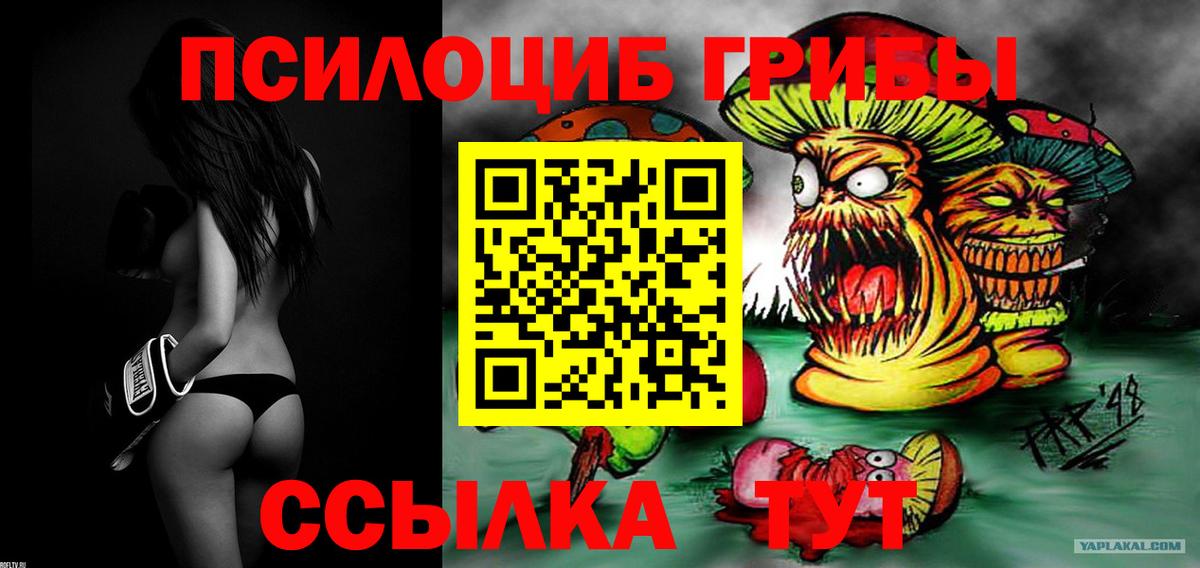 Галлюциногенные грибы Psilocybe Армавир